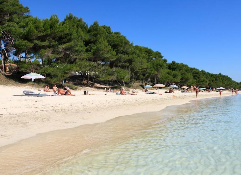 Strand Billede