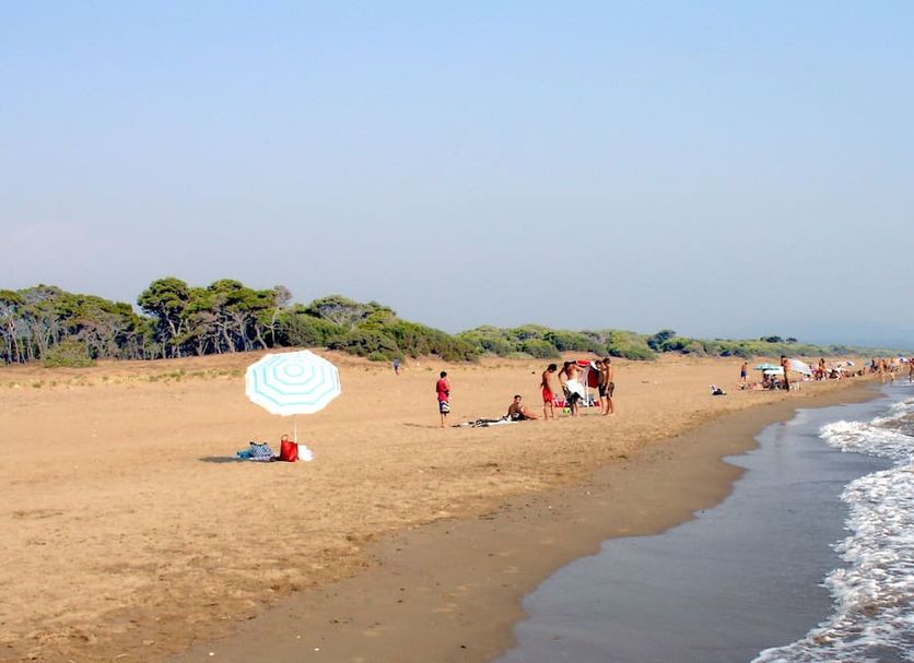 Strand Billede