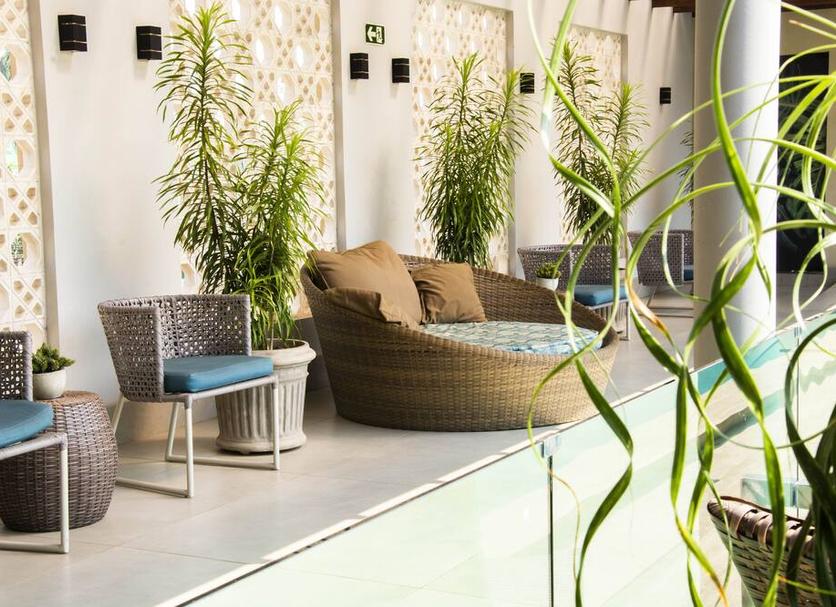 Patio Billede