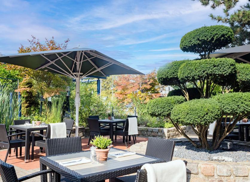 Patio Billede