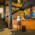 Receptionist