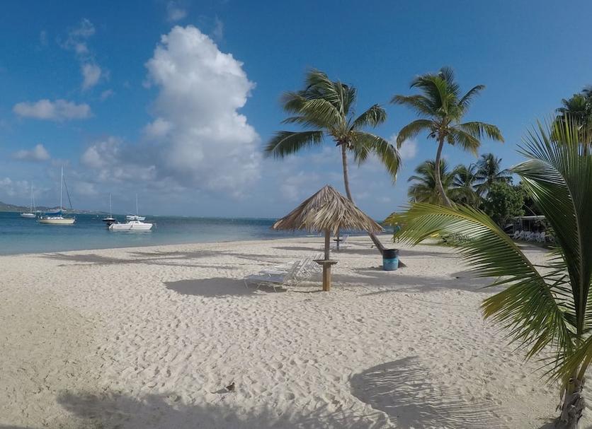 Strand Billede