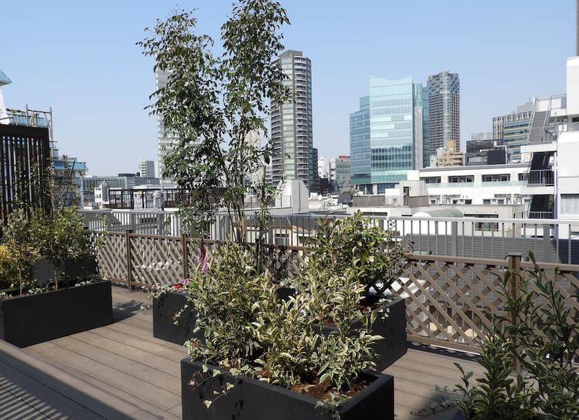 Balkon Billede