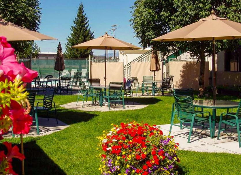 Patio Billede