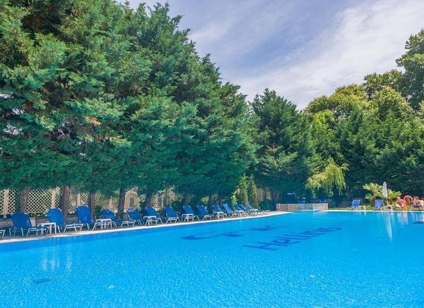 Pool Billede