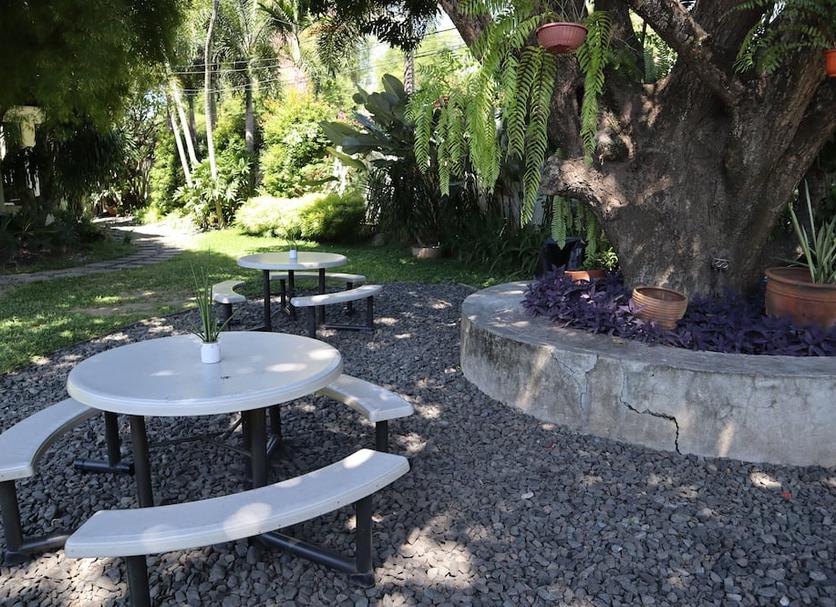 Patio Billede