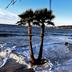 Andet