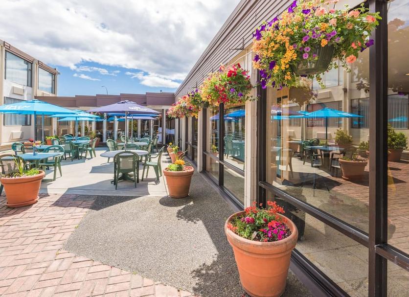 Patio Billede