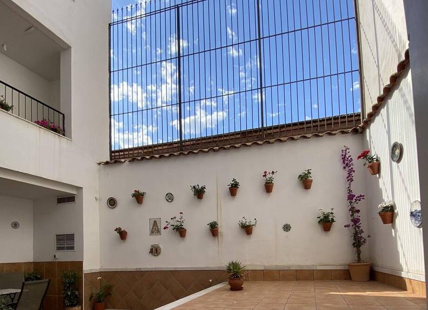 Patio Billede