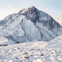#520-Charming Studio in the Heart of Mammoth
