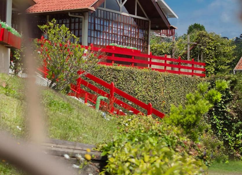 Udsigt Billede