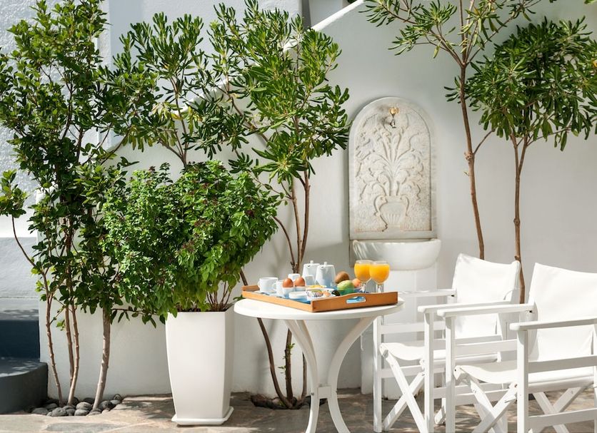 Patio Billede