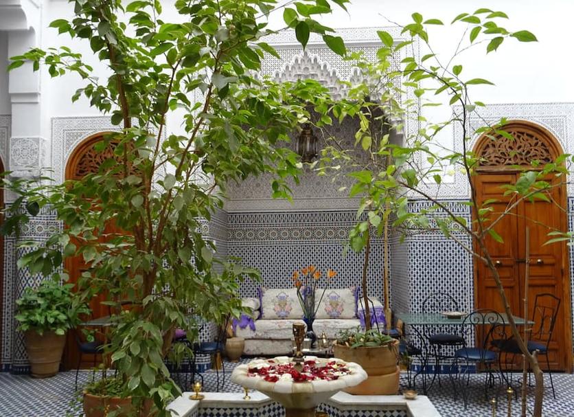 Patio Billede