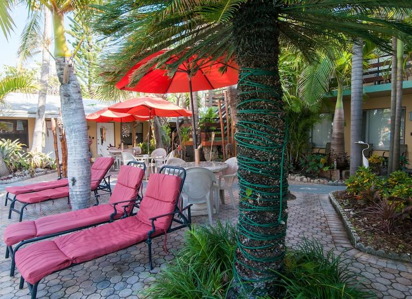 Patio Billede