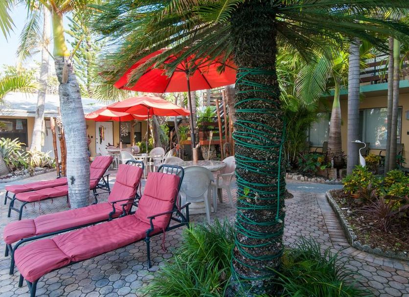 Patio Billede