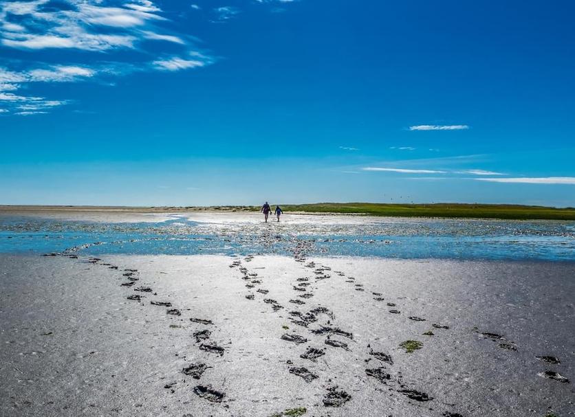 Strand Billede