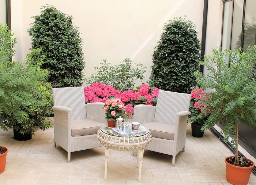 Patio Billede