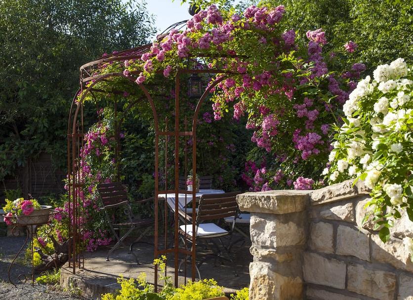 Patio Billede
