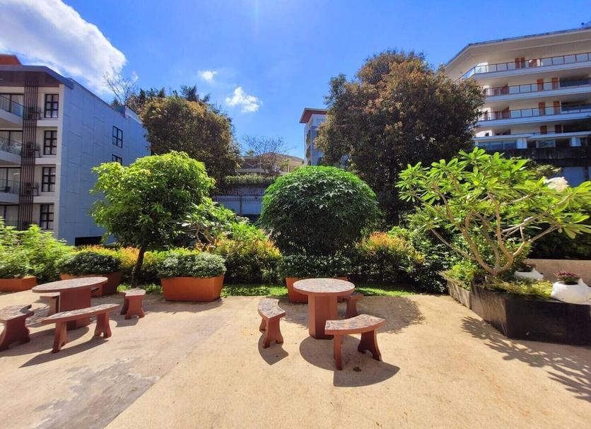 Patio Billede
