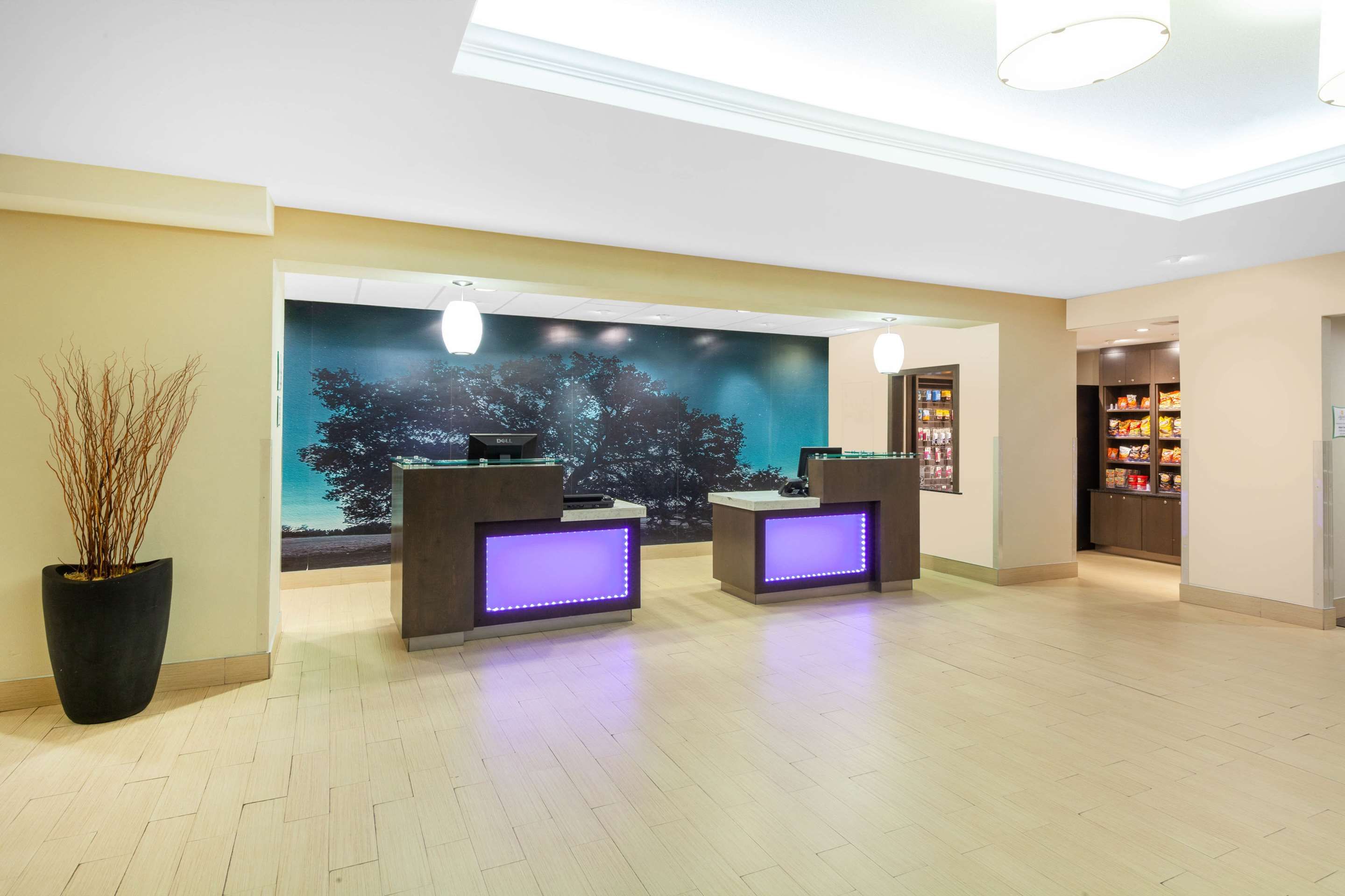 Receptionist