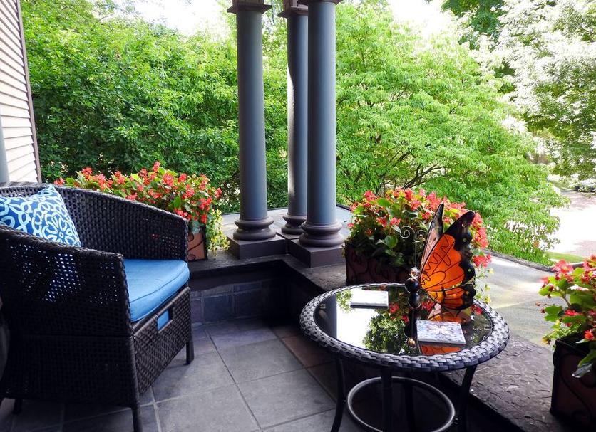Patio Billede