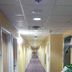 Gang