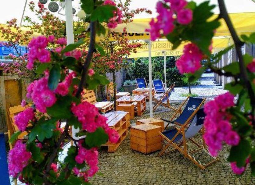 Patio Billede