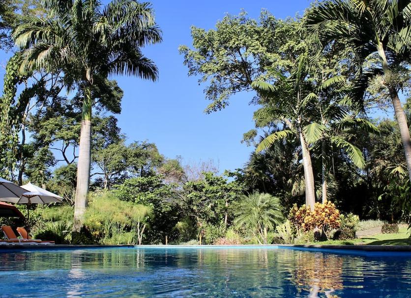 Pool Billede