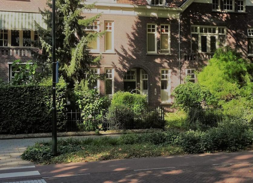 Udsigt Billede