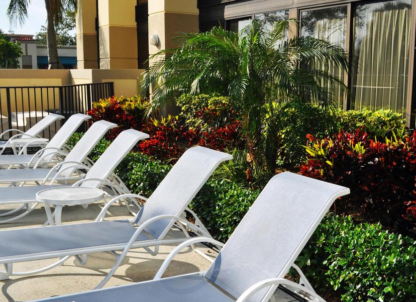 Patio Billede