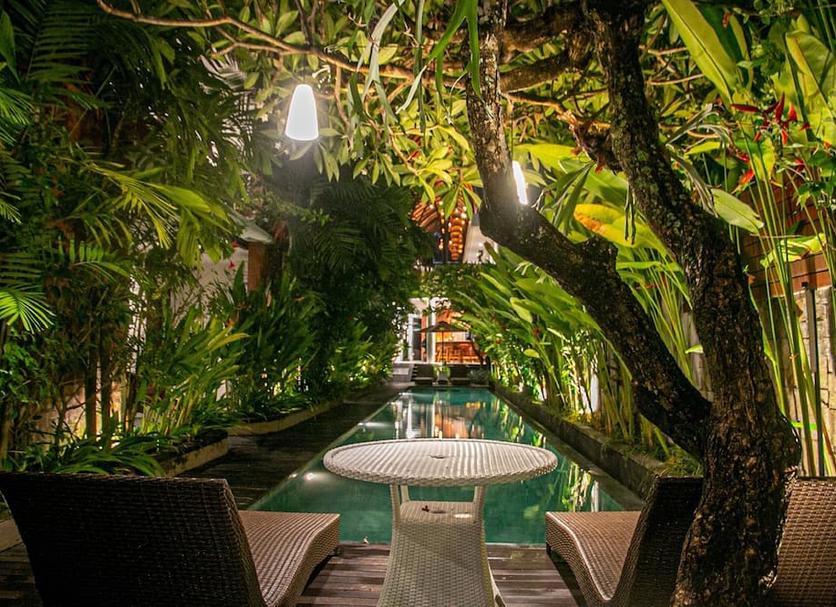 Patio Billede