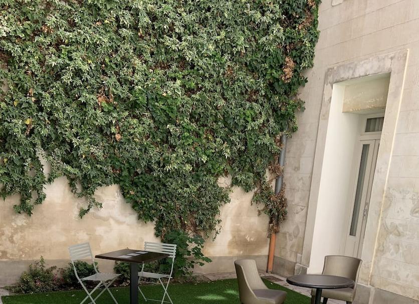 Patio Billede