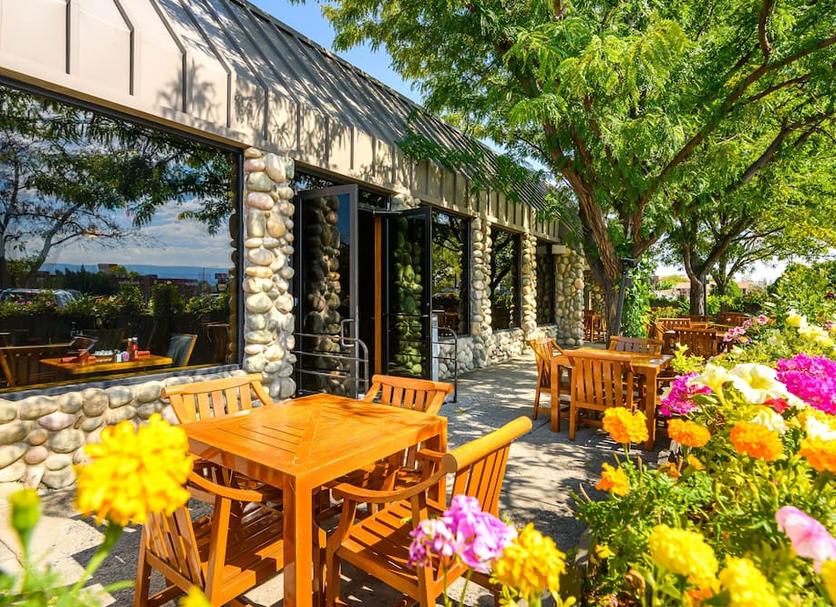 Patio Billede
