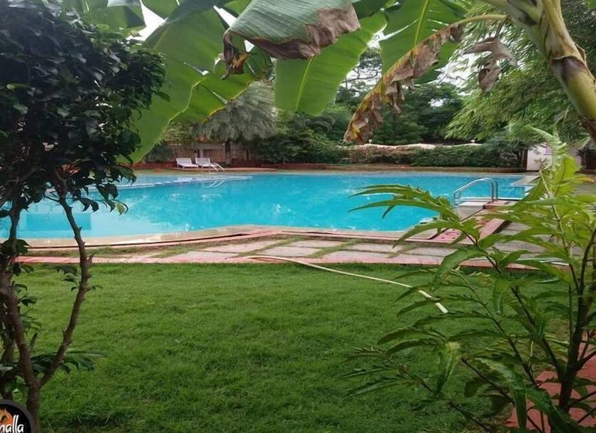 Pool Billede