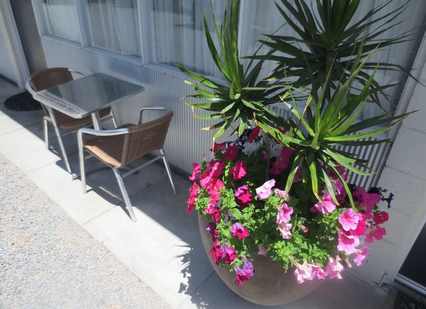 Patio Billede