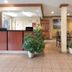 Receptionist