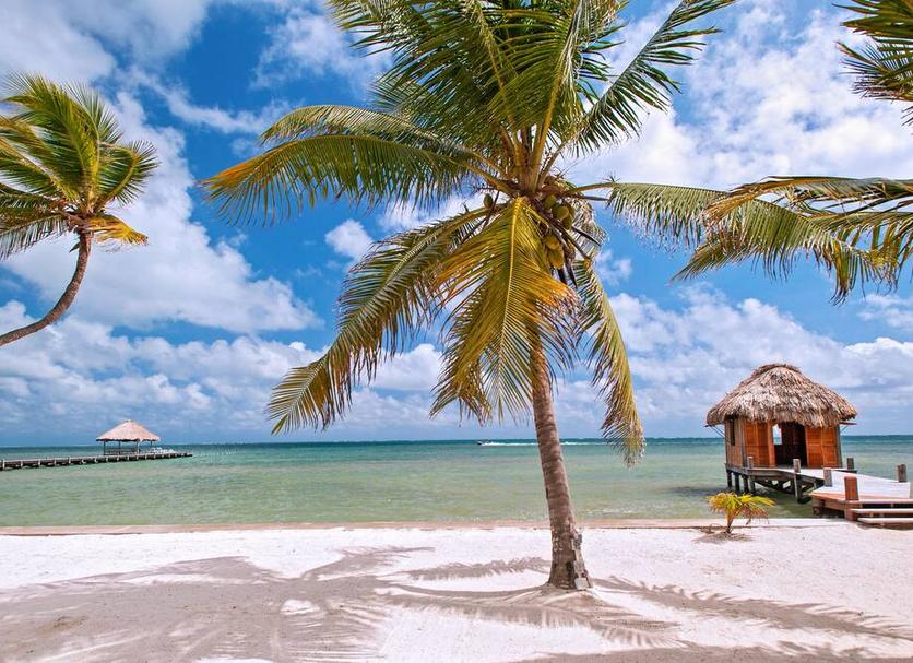 Strand Billede