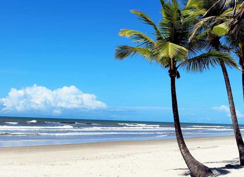 Strand Billede