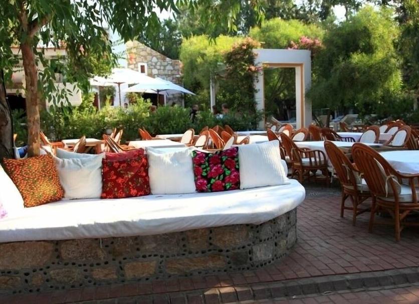 Patio Billede