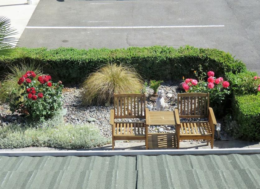 Patio Billede