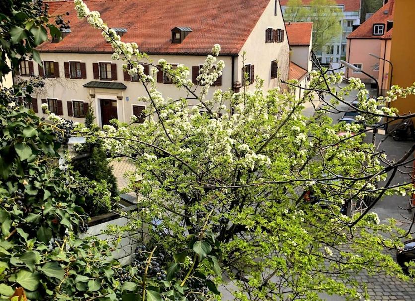 Udsigt Billede