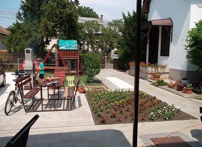 Patio Billede