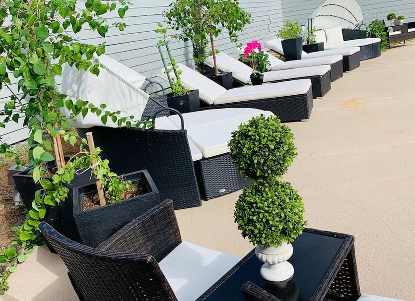 Patio Billede