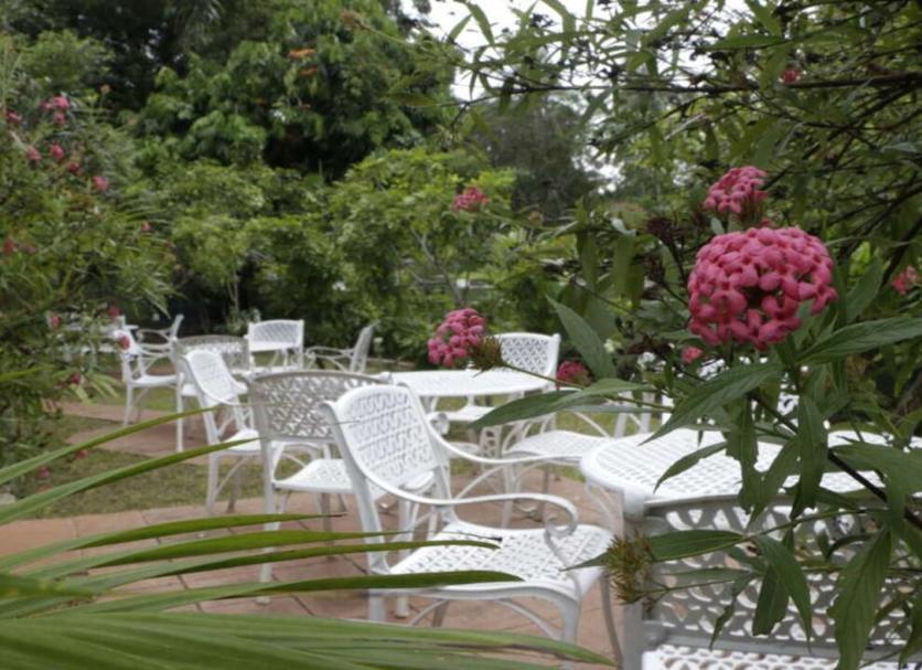 Patio Billede
