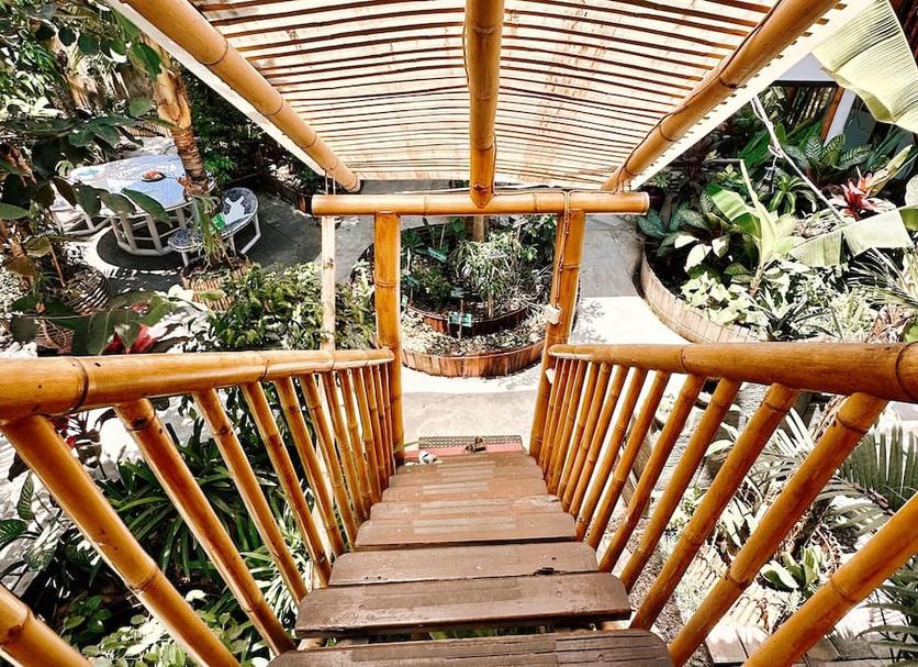 Patio Billede