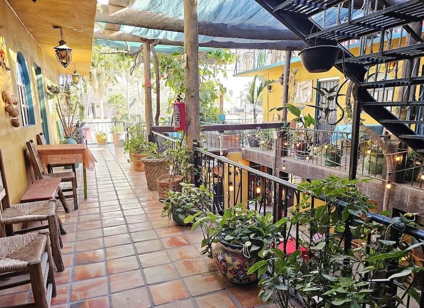 Patio Billede