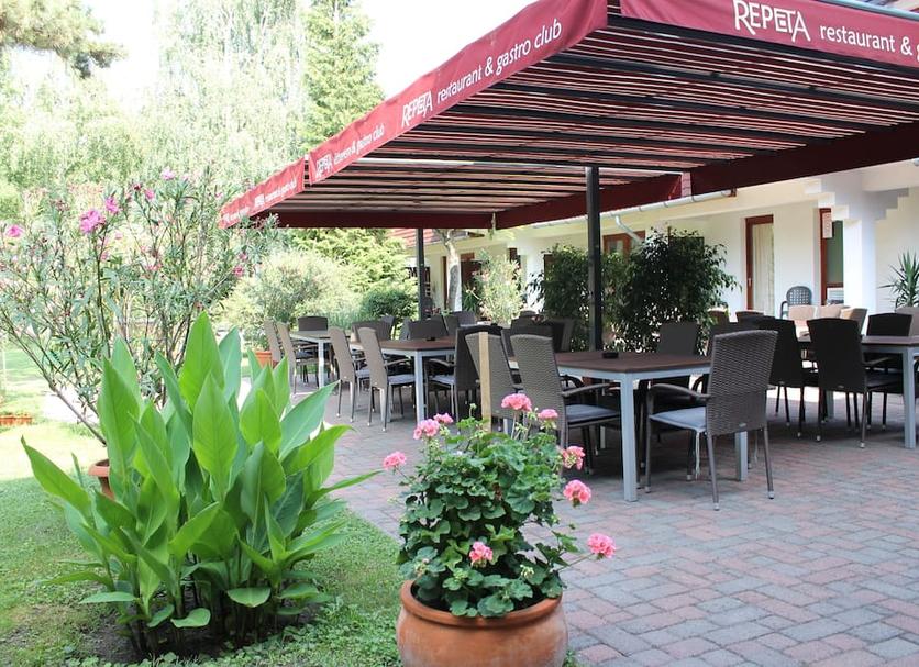 Patio Billede
