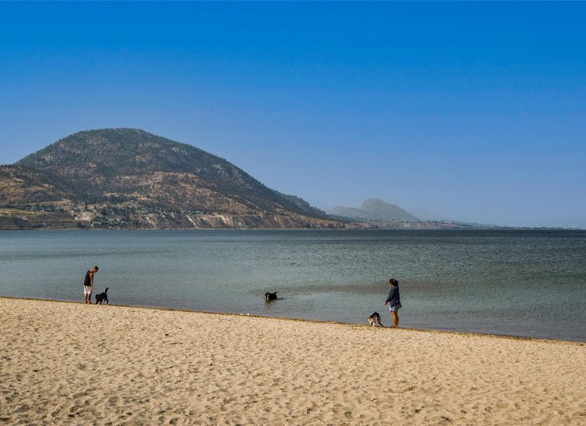 Strand Billede