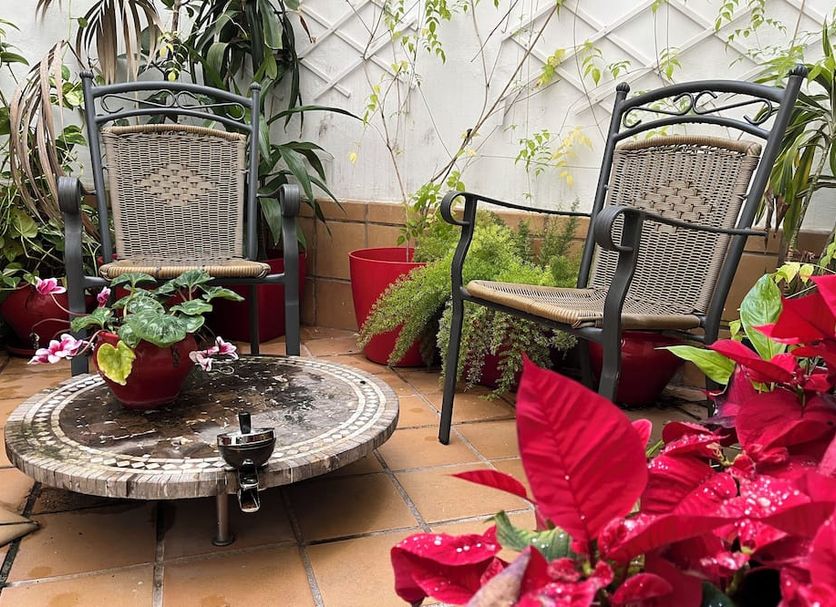 Patio Billede