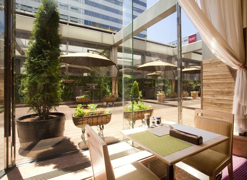 Patio Billede